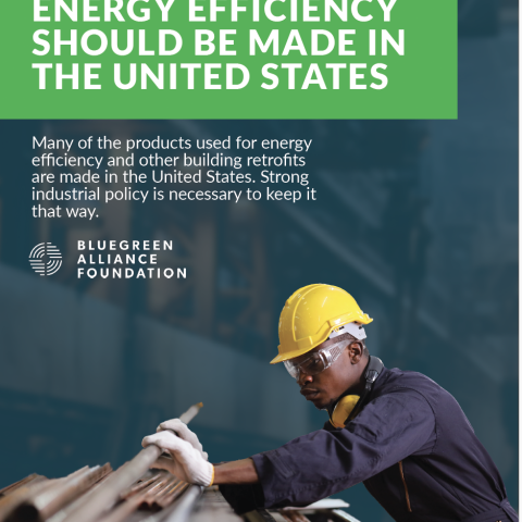 cover of Energy Efficiency Should be Made in the United States