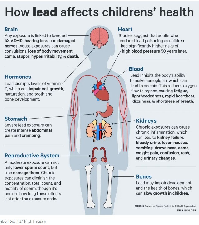 Informational graphic showing how chemicals affect children's health